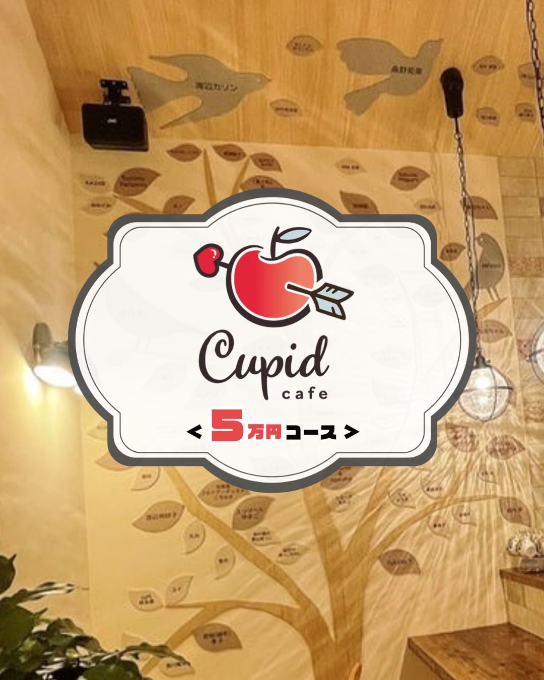 【Cupid Cafeプロジェクト】カフェセット＆お食事チケット＜５万円コース＞