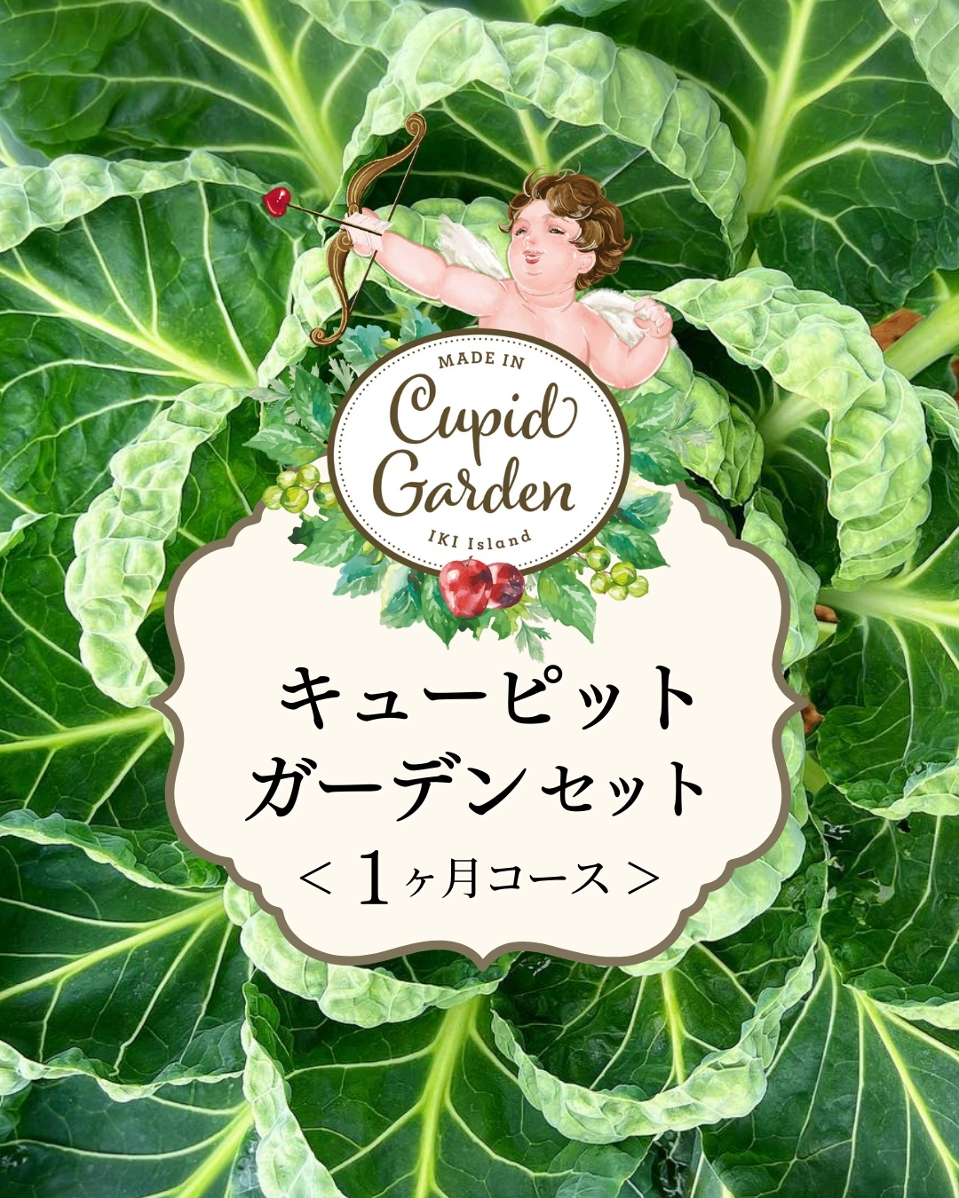 【壱岐島農業プロジェクト】Cupid Gardenセット＜１ヶ月コース＞