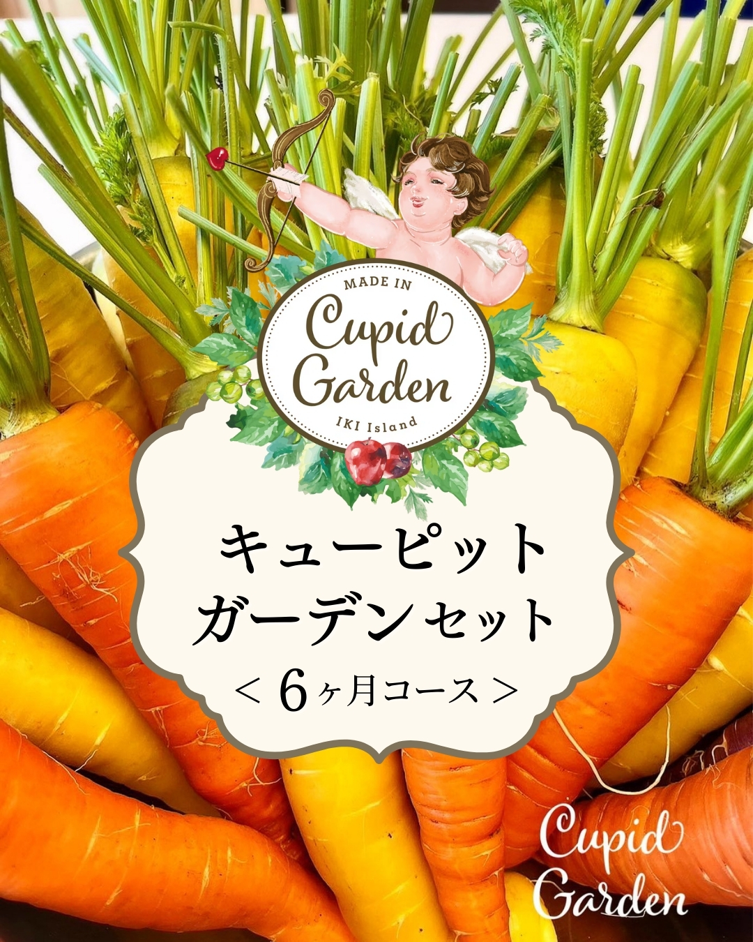 【壱岐島農業プロジェクト】Cupid Gardenセット＜６ヶ月コース＞